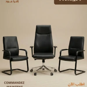 Ensemble de Chaises Prestige P - Collection Luxe Professionnel